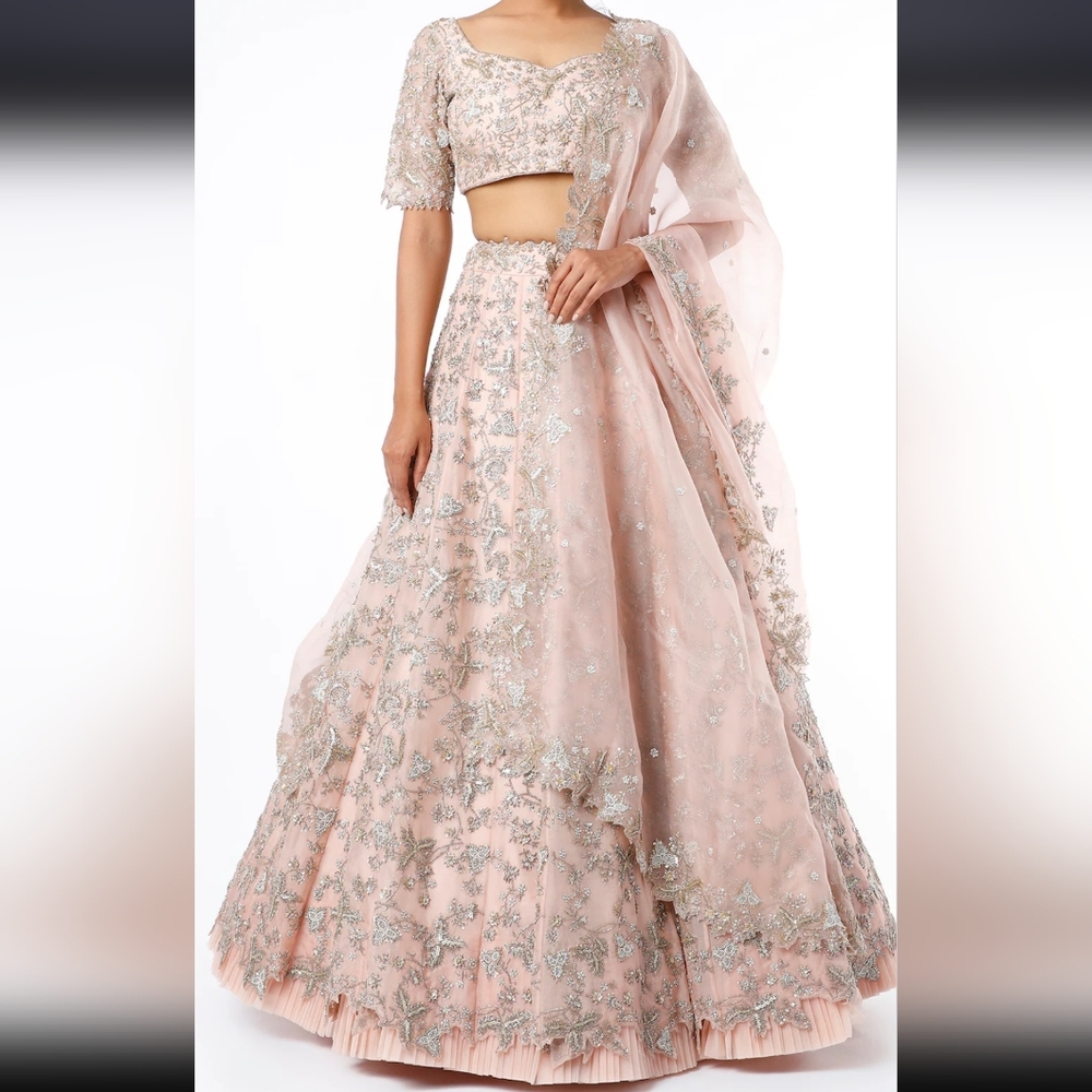 Anushree Reddy Embellished Pink and Silver Lehenga Set